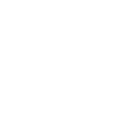LIVE